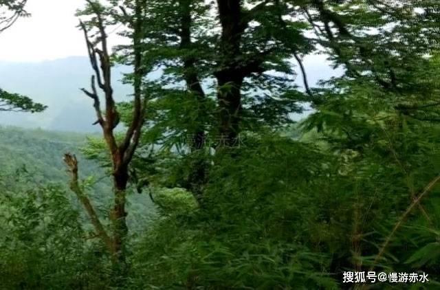捐赠仪式举行~为海南区这家企业点赞!